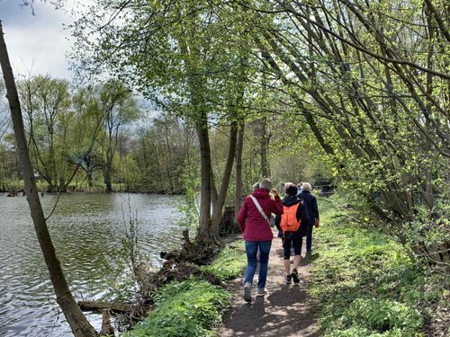 Wanderung vom Bismarckviertel auf Naturwegen bis Hülser Bruch und Stadtwald